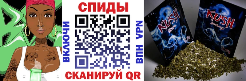 Купить  Тюмень  БУТИРАТ буратино 