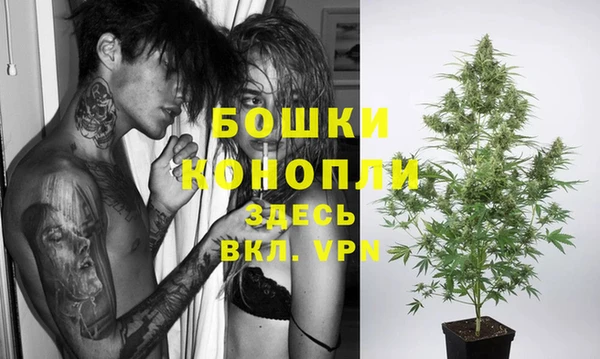 PSILOCYBIN Алзамай