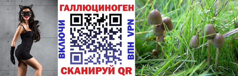 Купить закладки  Тюмень  Галлюциногенные грибы MAGIC MUSHROOMS 